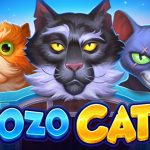 Bozo Cats Bozo Cats